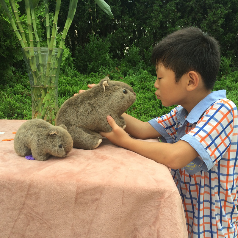 Home Decor Netherlands - Mainan Mewah Lembut Tikus Belanda Cavia