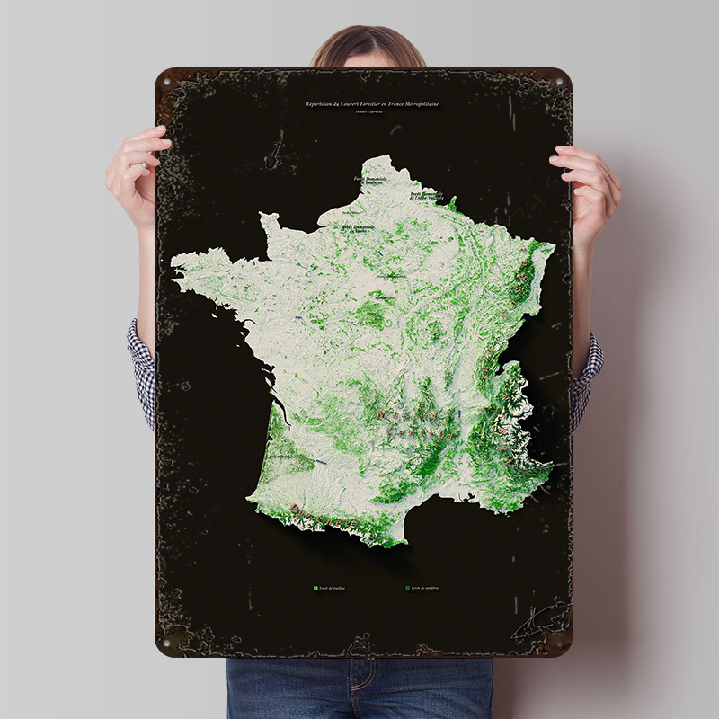 Home Decor Ai Free - Hutan Massif Perhutanan? Poster Kustom Seni